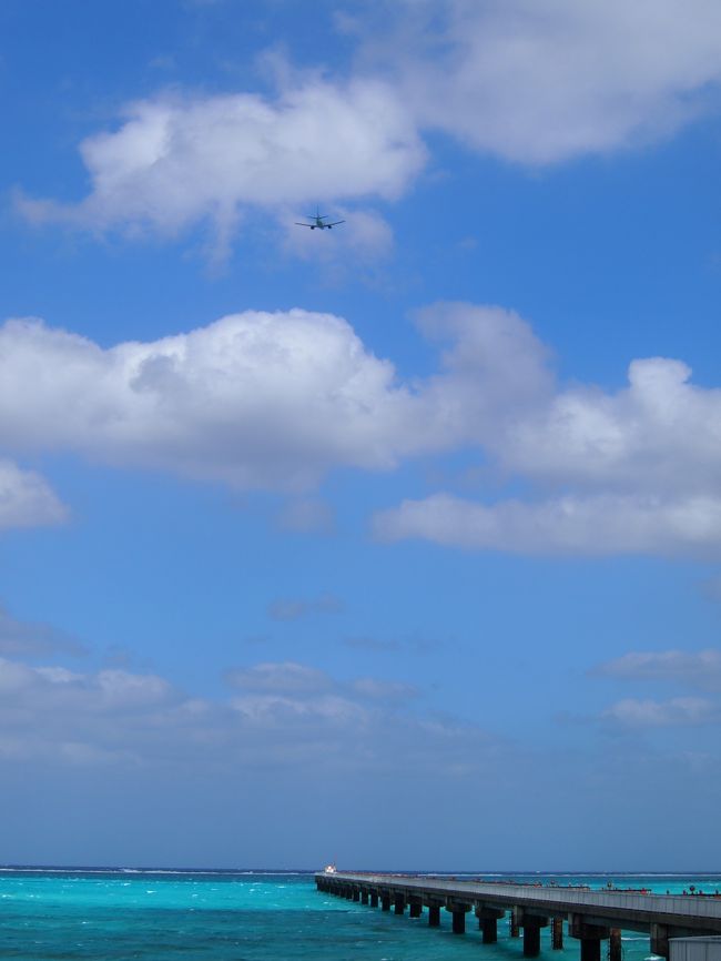 台風接近中なのに、予想外の好天に恵まれた２日目の朝。<br /><br />下地島に青い海を見に出かけました。<br /><br /><br /><br /><br />その１はこちら<br />http://4travel.jp/traveler/chirorin/album/10717449/<br /><br /><br /><br /><br /><br /><br /><br /><br />