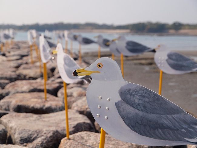 アートの島　佐久島を歩こう！後半　お花に彩られたフラワーロードを歩いてカモメの駐車場へ　ランチは海の幸を楽しむ旅