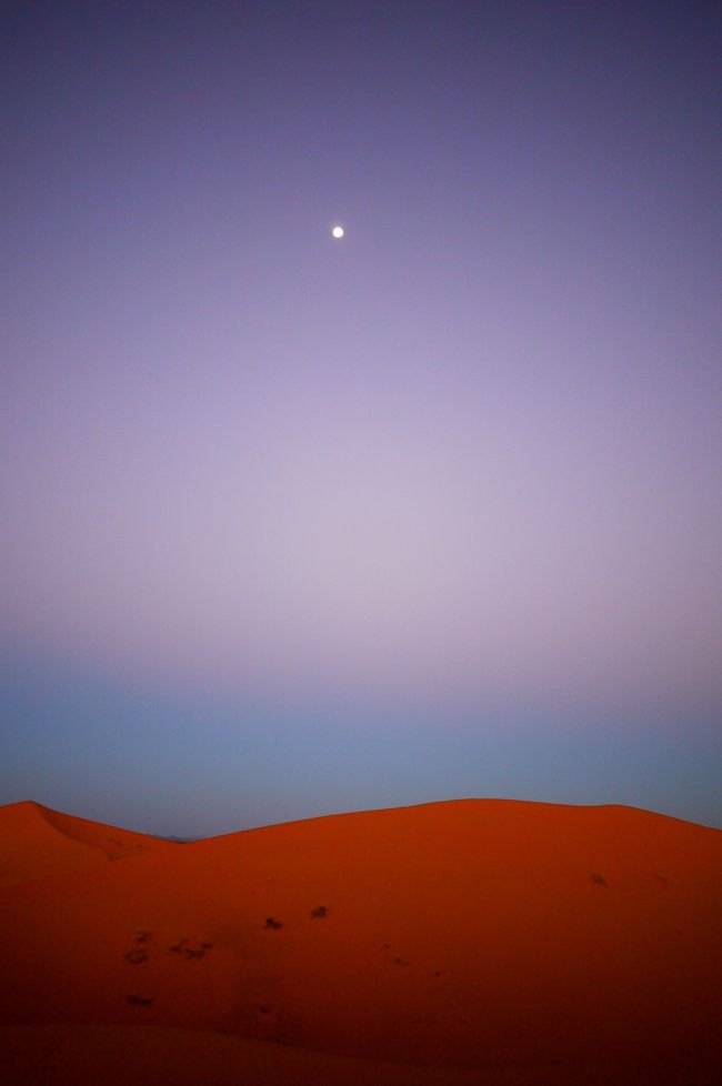 Morocco～砂漠とアラビアンナイトの国（２）SAHARAへ