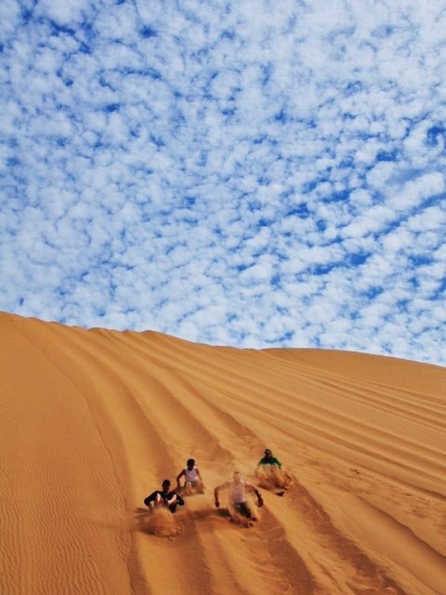 2度目のナミビアは、Walvis Bayへ。<br />サンドイッチハーバーツアーを利用して海と砂漠の最高の風景を楽しんできました。<br /><br />-----<br />ナミビアを初めて訪れたのは今年４月の３連休。<br />http://4travel.jp/traveler/sunnyy/album/10665152/<br /><br />そこのとき泊まったロッジに置いてあった１冊の写真集の中で、砂丘が海に落ちていく１枚の写真に出会った。<br />Walvis Bay近くにあるサンドイッチハーバーという砂漠だった。<br /><br />ナミビアの砂漠といえばSossusveiのDune45があまりに有名ですが、こちらのサンドイッチハーバーも素晴らしいです。<br /><br />ナミビア北部の動物の楽園エトーシャは、いろんな人から相当お薦めされたのですが、今回は残念ながら行く時間がありませんでした。<br /><br />[スケジュール]<br />10/13 7:00 Johannesburg- Cape Town、レンタカーでアグラス岬、ハマナス、Bettys Bay、ケープタウン泊<br />10/14 8:20 Cape Town- 10:20 Walvis Bay(Namibia)、サンドイッチハーバーツアーに参加 Walvis Bay泊<br />10/15 8:30クルーズツアーに参加、14：45 Walvis Bay - 16:55 Johannesburg <br /><br />[ツアー]<br />Sandwich harbour combo N$1,330<br />http://www.levotours.com/<br />1日目午後の部、2日目午前の部2日に分けて参加<br /><br />[フライト]<br />南アフリカ航空のwebサイトから<br />Johannesburg→Cape Town→Walvis Bay→Johannesburgルートで6,505ランド<br /><br />[宿]<br />Oyster Box Guesthouse in Walvis bay<br /><br />[レート]<br />ナミビアドルと南アランドは等価レートでランドがそのまま使えます<br />1N$=1ZAR=約9.5円（2012年10月現在） 