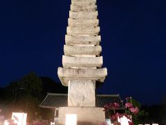 カレーと秋桜のミニオフ会≪般若寺のコスモスライトアップ編≫