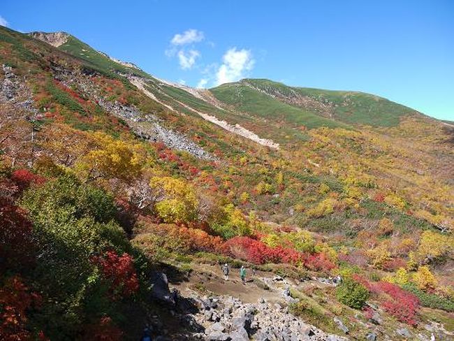 秋といえば、紅葉ということで、先日の連休に信州の「乗鞍岳」に紅葉登山に行ってきました。<br /><br />山の紅葉は見頃にタイミングを合わせて行く事が難しく、昨年行った、御嶽紅葉登山では直前に落葉してしまいました。<br /><br />今年は例年になく紅葉が綺麗で見頃という事だったので期待して出発しました。<br />