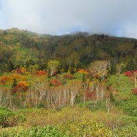 憧れの栂池高原～紅葉を求めて～【栂池自然園編】