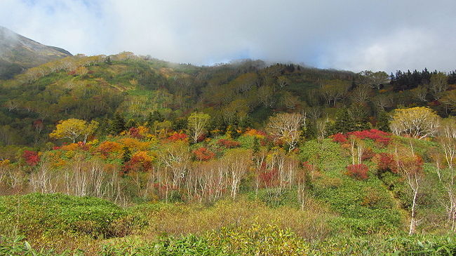 憧れの栂池高原～紅葉を求めて～【栂池自然園編】