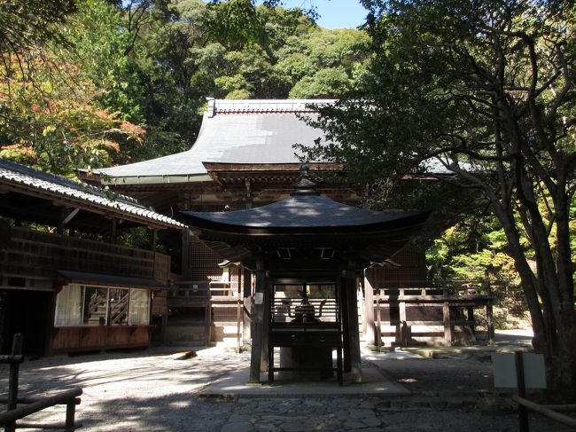 すっきりとした青空が広がる休日、高槻市の神峯山寺（かぶさんじ）というお寺へ出かけてきました。<br /><br />神峯山寺は遥か古より龍の神が宿るといわれ、その化身として本尊に毘沙門天が鎮座しているそうです。<br />ポンポン山への登山道にもなっているようで、山登りスタイルの方たちとも沢山すれ違いました。<br /><br />緩やかな坂道の参道は、神聖な空気が漂っていて落ち着いた雰囲気に包まれています。<br /><br />