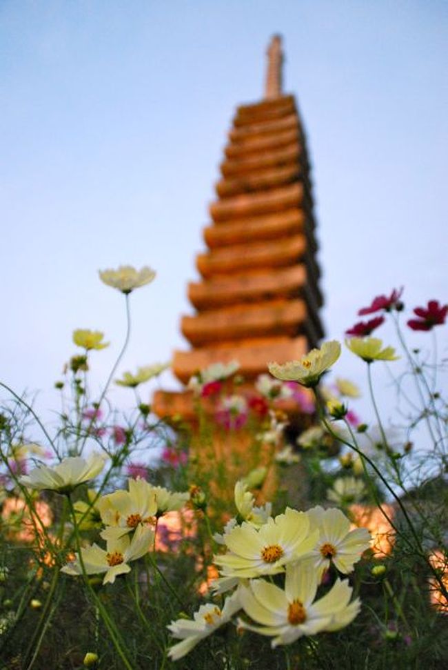 ちょこっと奈良　霊山寺バラ園とか 花あかり とか。