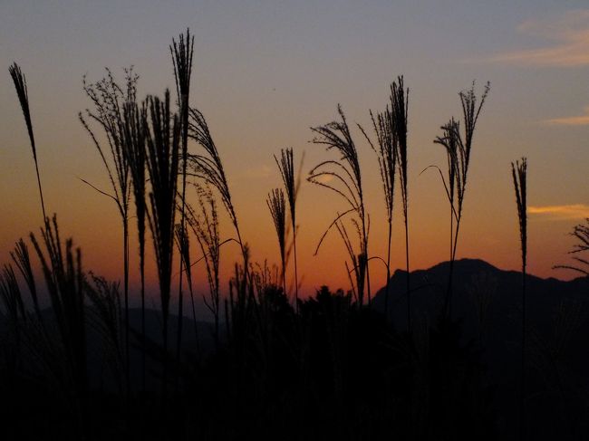 残念！夕日に間に合わなかった曽爾高原へ