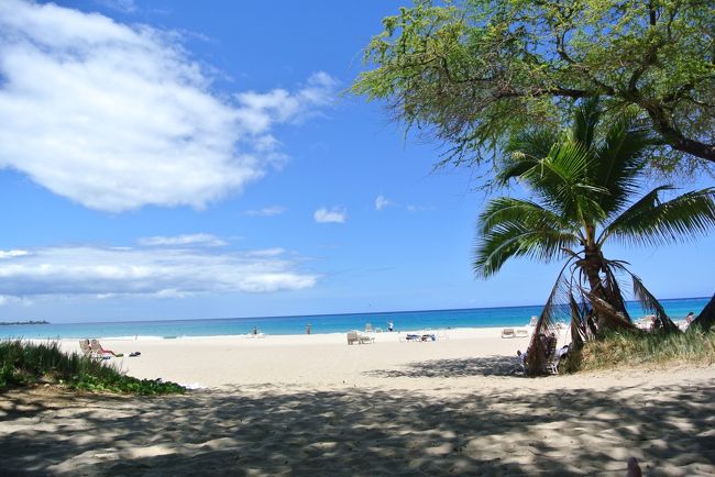 このハワイの為に頑張りました　（My favorite HAWAII♪♪ ハワイ島編）