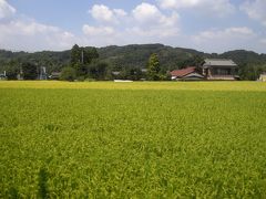 小湊鉄道に乗って