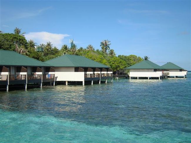 Embudu Village Resort <br />(2012年10月09日現在の情報です。情報は予告なしに変更されますので、予めご了承ください。GSTは2013年1月から8%になります。)<br /><br />2012年10月1週目にビーチのお部屋(スタンダード&スーペリア)の内装工事が全室終了しました。<br /><br />『モルディブらしいね…』島を訪れると、まずこの印象だと思います。<br />素朴で木々も島も人々も飾らない、のんびりとした雰囲気に包まれた島内。普段の忙しさを忘れさせてくれて、気軽に滞在できるリゾートです。<br /><br />南マーレアトールの北部に位置する島。空港からスピードドーニで約40分。<br />大きなスピードドーニなので、夜は星空を眺めながら、日中は綺麗な景色を眺めていると、<br />アッと言間です。<br />外洋側はトビウオが良く飛んでいます。チャネルから中に入るところはイルカの通り道。<br />桟橋に到着すると、珊瑚礁が広がるハウスリーフ。<br /><br />島の雰囲気<br />島内は緑の木々が多く、ビーチのお部屋前には、モルディブの伝統的なスイングがぶら下がっているところが多い。揺られながら座っていると、ウトウト…と寝てしまえるくらい気持ちが良い…。ヨーロッパ人はハンモック持参でこかれる方も多く、お昼寝をされています。<br />ドイツ人のお客様が多いので、島内はのんびりと静か…。<br />朝から読書を楽しんでいる人、ハウスリーフ&ダイビングポイントが良いので、海を満喫している方々…とさまざまです。<br />北西側に広々としたビーチがあり、朝の早い時間から日焼けを楽しむヨーロッパ人の姿を見かけます。夕方はサンセットが綺麗に眺められます。また、この辺りはラグーンも広いので、浅瀬のラグーンないもとても綺麗です。<br />白い砂地だけかな〜と思ったら、ツバメウオのファミリーが優雅な姿で、のんびりと泳いでいました。小さな小魚、コバンアジもスイスイ泳いでおり、透明感がある水の中は、つい、のんびりしがち…<br />水上コテージの桟橋下には、沢山のお魚さんが泳いでいます。よ〜く見ると砂地と同化したエイちゃんが潜んでいたりもします。<br /><br />ハウスリーフでのスノーケリング…<br />これでこそモルディブの海!!!<br />ハウスリーフはやっぱり良い!これでこそエンブドゥヴィレッジ〜!<br />大物、小物、群れ物まで、バラエティに豊富にみられるのが、エンブドゥのハウスリーフの魅了です。<br />テーブル珊瑚もドロップオフの壁に張り付いています。<br />クマノミちゃん&イソギンチャクが多く可愛い〜。カメ、パロットフィッシュ(大きい)、ヨスジフエダイ、サメ、ウツボ、マダラトビエイ、カスミアジアジ、ロウニンアジ、カスミアジ、コバンアジ、ゴンガメアジ、バラク―ダ、マグロ、ハタタタテダイ、マダラトキエイ、エイ、パウダ-ブルー、ナポレオン、ニシキヤッコ、タテジマキンチャクダイ、ヒレナガハギ、その他、沢山の魚がいます。<br />ドロップオフへのパッセージが4ヶ所にあります。全体的に何処のドロップオフはなだらかです。<br /><br />地図を参考にされてください。<br />メインの桟橋(水上コテージ)横:ボート停泊する時もありますので、ボートにはお気を付けください。<br /> リーフを左肩にしてサンドバンク方向に泳いだ場合。<br /> 浅瀬でもエイがいます。ウツボさんが顔を出しているときもあります。ハタタテの群に遭遇することも…。<br />雨季の時期は運が良いとマンタを見られる方もいます。<br /> <br />サンドバンク側:水上コテージ側から泳いでくると、サンドバンクが近づくにつれて、リーフ沿いの浅瀬カスミアジの移動の群がいるときも...。<br /> ヤッコ類の魚も多いです。<br /> 白いポールから少しだけリーフが伸びた方向に行くと珊瑚が綺麗です。<br /> 西側のコーナーのリーフは遠いので泳がないようにお願いします。<br /><br />お部屋番号78辺り:リーフを左肩にしてメインの桟橋方向に泳いだ場合。<br /> コーナーは潮が入り込むところですので、潮の流れにはお気を付けください。潮が当たるところは、大きなお魚も見られたりするので面白いのですが、バラク―ダ、マグロちゃんを見ました。<br /> リーフを右肩にしてダイビングの桟橋方向に泳いだ場合。<br /> 珊瑚が綺麗です。群れ物が多い。リーフが広くなっているところもありますので、お気お付け下さい。<br /><br />ダイビングの桟橋:リーフを右肩にして泳いだ場合。<br />(とそのすぐ横) コーラルガーデンです!とても綺麗〜〜〜。珊瑚&魚と見るのに忙しい。大満足できる場所です。<br /> 西側のコーナーのリーフは遠いので、泳がないようにお願いします。<br /><br />どのパッセージ脇、ラグーン内の珊瑚のところには、魚も多く気軽にスノーケリングがきます。人気のパウダーパウダーブルーは何処にでも泳いでいます。<br /><br />泳がれるときは、事前にダイビングセンターで潮の流れの方向&強さを確認されてください。<br />潮の流れの方向でエントリー場所を変えてあげてください。<br />初心者の方には、パッセージことに泳がれることをおお勧めします。<br /><br />オールインクルーシブパッケージにアップグレード!<br />3食付からオールインクルーシブパッケージにアップグレードご希望の方は、<br />レセプションにお問い合わせください。<br />お1人様US$32/1日(サービスチャージ&GST込み)<br />*料金&内容は予告なしに変更されますので、予めご了承ください。<br /><br />オールインクルーシブパッケージには、下記のものが含まれています。<br />お食事の際のお飲み物、主なブランドのスピリッツ類(ラム、ウオッカ、ジン)、<br />ウィスキー、ビール、グラスワイン、ミネラルウォーター、ソフトドリンク、<br />缶ジュース、本日のカクテルなど…。<br />16:00〜18:00に提供されるアフタヌーンスナック(サンドイッチ、ケーキ、ビスケット等、コーヒー、紅茶)<br /><br />但し下記のものはパッケージに含まれていません。<br />リキュール類、シャンパン、ボトルワイン、エスプレッソ、ミルクシェーキ、アイスクリーム、アイスティ、ダイエットコーラ、フレッシュジュース<br /><br />バーの営業時間は08:00〜24:00となっております。<br />バーの営業時間帯外には、お飲み物は提供できませんので、予めご了承ください。<br /><br />尚、エクスカーションの代金には、こちらのプランは含まれていませんのでご注意ください。<br /><br />客室<br />112部屋。お部屋のカテゴリーは2つ。<br />スーペリアルーム106部屋<br />2012年10月1週目に全室内装工事終了し、以前よりも快適になりました。<br />収容人数 大人3人 又は 大人2人+子供1人(エキストラベッド1可)<br /><br />水上コテージ16部屋<br />少し広いでファミリーにもお勧めです。<br />収容人数 大人3人 又は 大人3人+子供1人(エキストラベッド2可)<br />大人2人+子供2人(エキストラベッド2可)<br /><br />======================================<br /><br />Webesite : www.embudu.com<br />Email : sales@embuduvillage.com.mv<br />電話:(960)664 0063/0064/4776<br />ファックス:(960)664 2673<br /><br />リゾート日本人スタッフ:いません<br />日本人ダイビングインストラクター:いません<br /> <br /><br />時間<br />日本との時差4時間<br /><br />トランスファー<br />スピードドーニで約40分<br /><br />島のサイズ<br />1周歩いて約20分(285Mx145M)<br /><br />チェックイン 14:00<br />チェックアウト 12:00<br /><br />電気圧<br />240V 50Hz<br />プラグ:三椏日田ピン(マルなし。お土産屋さんにてUS$4で購入できます。)<br /><br />レセプション<br />07:00〜23:00<br />*緊急時は内線(0番)にお掛けください。<br />ロビーにはPOST BOXがあります<br />郵便はおおよそ2週間〜3週間で日本に届きます。(のんびりです)<br />ダーツもありますのでご自由に楽しまれてください。<br /><br />キャッシャー<br />18:30〜21:30<br /><br />お支払い <br />ご出発日が午前の場合、ご出発日の前日18:30〜21:30の間に、キャッシャーにて、精算をお済ませ下さい。<br />ご出発日が午後の場合、14:00にキャッシャーにて、精算をお済ませ下さい。<br />USドル現金、ビザ、マスターカード、トラベラーズチェックにてお支払い頂けます。<br /><br />クレジットカード<br />ビザ、マスター、アメリカンエクスプレス<br /><br />キャッシュの取り扱い<br />アメリカドル、ユーロ(日本円の使用不可)<br />*トラベラーズチェックの使用可<br /><br />セーフティボックス<br />キャッシャーにセーフティボックスがあります。デポジット(保証金)として、US$10を最初にお支払いいただき、貴重品をお預けください。<br />貴重品を受け取る際には、デポジット(保証金)US$10は返金されますので必ず受け取りください。<br />セーフティボックスの鍵を紛失された場合は、US$100チャージされますので、予めご了承ください。<br />*お部屋にもセーフティボックスがあります。<br /><br />インターネット<br />Wife使用可能エリア:レセプション、ロビー、バー<br />US$7/30分、US$13/60分<br />使用時間は分散できます。<br /><br />*インターネットカフェはロビーにあります。PC2台+プリンター。<br />08:00〜22:30<br />ご利用の際は、レセプションにお尋ねください。<br />US$7/30分、US$13/60分<br />使用時間は分散できます。<br /><br />*料金には10%サービスチャージ+6%GSTが別途されます。<br />また、内容&料金は予告なしに変更されますので、予めご了承ください。<br /><br />日本への電話&ファックス<br />電話:US$14/3分<br />ファックス:US$10/1枚<br />*ローカルコール:RF5/1分<br />*料金には10%サービスチャージ+6%GSTが別途されます。<br />また、内容&料金は予告なしに変更されますので、予めご了承ください。<br /><br />カクテルパーティー<br />なし<br /><br />DVDレンタル<br />なし<br /><br />ライブラリー<br />ロビーの横に棚があります。<br /><br />ご出発案内<br />ご出発のご案内は前日の夕方、ロビーエリアに掲示されます。<br />レセプションにお尋ねください。<br />チェックアウトは12:00。お荷物はドアの外側に出して置いて下さい。<br />お部屋の鍵はレセプション、セーフティボックスの鍵はキャッシャーへ、お渡し下さい。<br /><br />ハネムーンサービス<br />ワイン、フルーツバスケット、ベットデコレーション<br /><br />お誕生日<br />ケーキ<br /><br />結婚記念日<br />ワイン、フルーツバスケット<br /><br />リピーターサービス<br />ワイン、フルーツバスケット<br /><br />ベビーシッターサービス<br />なし。<br /><br />クリニック<br />なし。レセプションには、多少の薬はあります。<br /><br />エイ&魚の餌付け<br />なし。<br /><br />エンターテイメント<br />ディスコ、ライブバンド、マジックショーなどが、週に1回開催予定です。<br /><br />