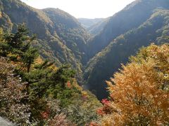 志賀高原・２０１２年紅葉の終演！①