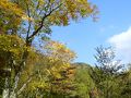 紅葉の照葉峡を歩く