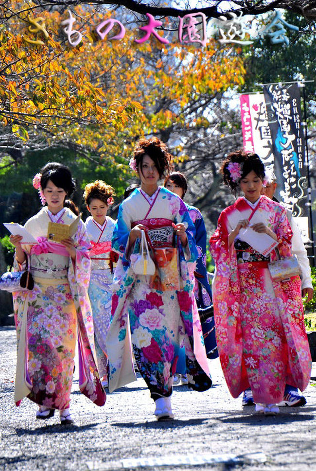 湖北の秋を彩る「長浜きものデー」が2012年度は、10月20日（土）<br />歴史と文化に彩られた長浜の市街地一帯を、<br />全国から集まった着物女性約がそぞろ歩く日本一の着物イベントで<br />今年で第28回迎えた「長浜きもの大園遊会」が開かれました。<br /><br />長浜のイメージ高揚と市特産の浜ちりめんの<br />地場産業振興、商店街活性化、<br />観光客誘致を目的に昭和59年に<br />長浜観光協会などでつくる運営委員会が始めた。<br /><br />今年は、市役所の参加受付所無く豊公園噴水広場だけなので<br />久々に豊公園噴水広場には、<br />きらびやかな振り袖姿の女性たちが続々と集まり、<br />受付を終えると長浜市の中心商店街一帯、<br />秋空の下、和装姿が歴史ある町並みをそぞろ歩き・・・。<br /><br />園遊会参加者は、<br />海外旅行や高級きもの等豪華景品が当たる大抽選会。<br />また、長浜城歴史博物館や黒壁美術館など<br />中心市街地の観光施設が無料、<br />慶雲館での茶会にも無料参加できました。<br />歴史と伝統のある古い町並み長浜は<br />一年で一番商店街が華やぐ一日でした。<br /><br /><br />*開催地：滋賀県長浜市　豊公園〜市街地〜大通寺<br />* 開催日時： 2012年10月20日（土）10：00〜16：00<br />* 受付会場： 豊公園噴水広場<br />* 受付時間： 10：00〜11：30<br />* 応募資格： 着物の大好きなお嬢さん<br />* 着物姿で参加できる18歳以上40歳未満の女性<br />* 募集人数： 1,000人（先着順）<br />*主催者：長浜きもの大園遊会運営委員会<br />        http://www.nagahamashi.org/syusse/enyu/<br />*問い合わせ先：長浜市観光振興課　0749-62-4111（代）<br /><br />*第27回　長浜きもの大園遊会<br />http://4travel.jp/traveler/isazi/album/10613728/<br />
