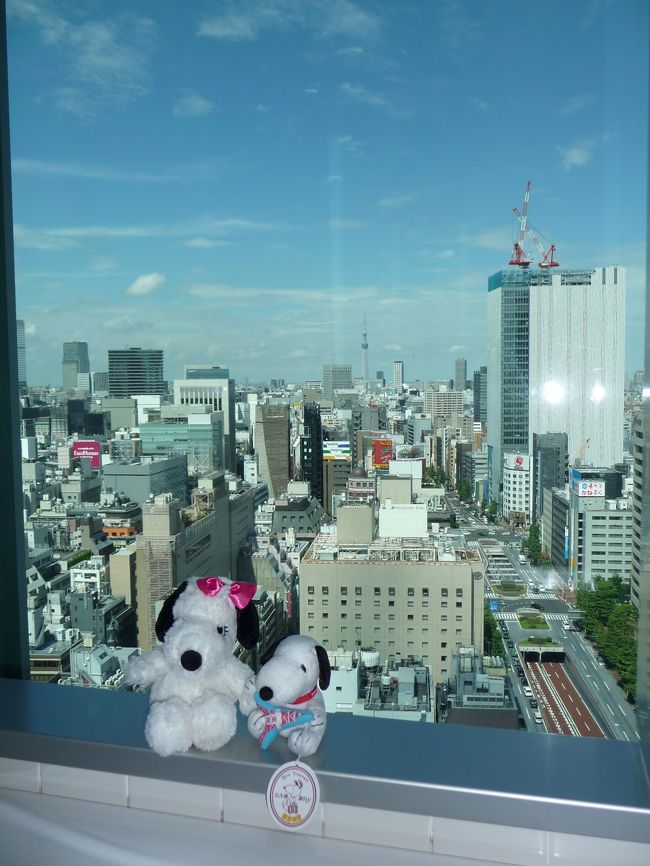 今回の東京旅行で選んだお宿は、昭和通りの新橋と東銀座のちょうど中間辺り、銀座三越から南に位置する『三井ガーデンホテル銀座プレミア』でした。<br />部屋が高層階にあって比較的安く泊まれるのが選んだ最大の理由です。<br />チェックイン時には、ちょっとしたサプライズもあってとても嬉しかったです。<br /><br />ダイジェスト版旅行記はこちら→http://4travel.jp/traveler/joecool/album/10696765/
