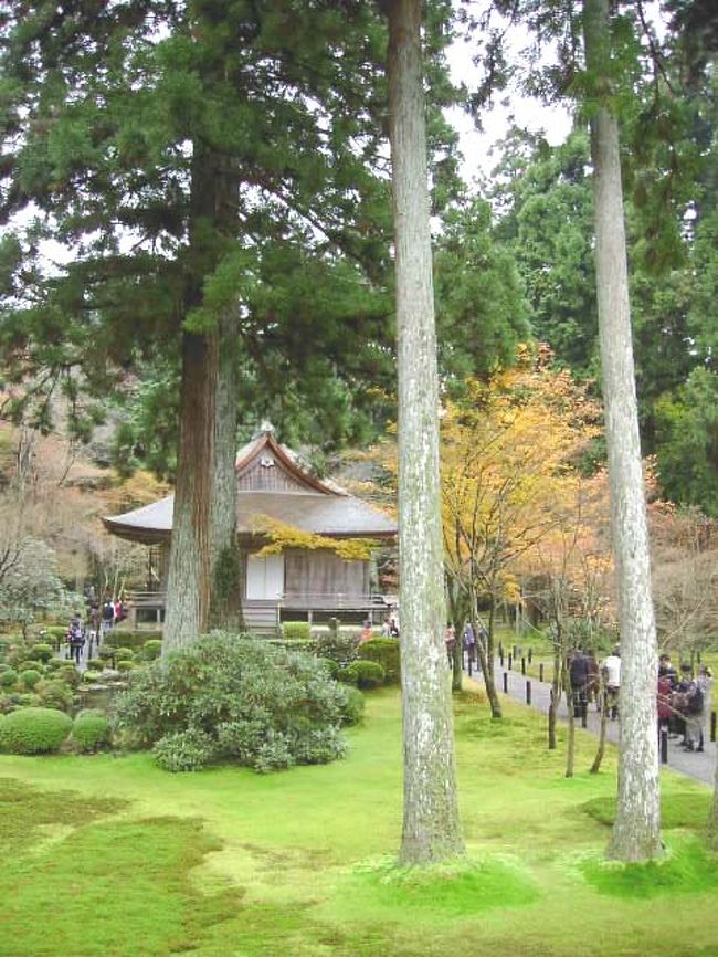 三姉妹で行く京都紅葉めぐりの旅の三日目は大原です。