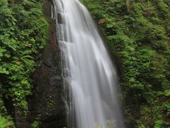 八甲田/十和田湖/奥入瀬ぐるり旅【6】～新緑の木漏れ日に輝く渓流美～奥入瀬渓流