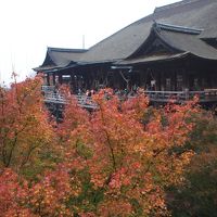 京都の美味しい食事と紅葉