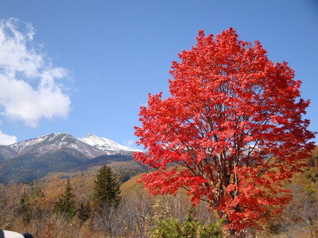 青空に山が燃える～乗鞍高原