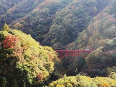 秋です!!信州・高山村”錦秋の渓谷”