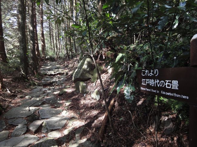 2012年度の山歩きは旧東海道からスタート！<br /><br />とはいうものの、この後7月の剱岳まで、一度も登山靴を履くことはありませんでしたが･･･