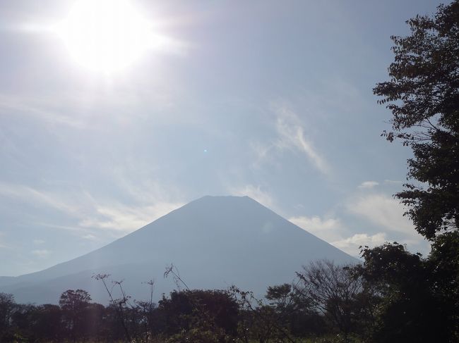 1泊2日の富士山の旅。<br />早朝に京都を出発して、なるべく一日目に見たい場所を観光してしまい、翌日は朝ゆっくりの出発にしようと話していたのが、結局は富士山見たさに朝早く起きたので、2日目は富士山五合目まで行ったあと、忍野八海にも寄ることができ、かなり充実した内容の旅になりました。富士五湖全てを周ることもできました。<br /><br />山と湖、そして滝。澄んだ空気に、澄んだ水。心が安らぎます。<br /><br />ただし肝心の富士山は、表紙に逆光の写真を使ってるぐらいですから想像つくでしょうけど、最後までクッキリと全身を披露してくれなかったんです。<br />そんなに恥ずかしがらなくたって、良いのになぁ。<br /><br />２編に分けるつもりだった旅行記を、１本にまとめたので、かなり省略部分の多い内容になってます。<br /><br />