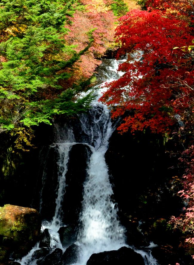 10月16日早朝の小田代ヶ原に行ったついでに昼間は湯ノ湖と竜頭の滝、半月山を散策してきました。この後、２４日に再度小田代ヶ原に行き、その足で同じようなところを巡ってきましたが、１６日は中禅寺湖畔は少し紅葉見頃には早く、湯ノ湖、竜頭の滝はちょうど見頃でした。<br />というわけで、この旅行記では、中禅寺湖畔の紅葉写真は２４日版に譲り、竜頭の滝、湯ノ湖、湯滝と中禅寺湖畔のイタリア大使館別荘に立ち寄ったときの写真のみ掲載します。　　<br />奥日光は、至るところに紅葉スポットがありますが、見頃になる時期がずれているので、一度にたくさんの紅葉スポットを巡るという欲張りな行動には、いささか無理がありましたな〜！