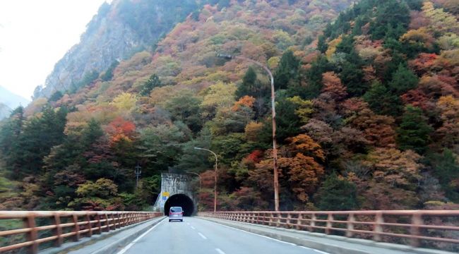 　１０月末の上高地周辺は、秋真っ盛り！<br /><br />　釜トンネルをくぐる前から、素敵な紅葉の世界が広がっていました。<br /><br />  走る車や、汚れたガラス越しにとった写真も多くて、ピンボケやムラのあるものも多くて済みません。<br />　<br />　上高地の秋を、少しでも実感していただければ幸いです。<br /><br /><br /><br />