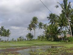 台湾･インドネシアの旅日記２０１０（１８）ウブド四日目