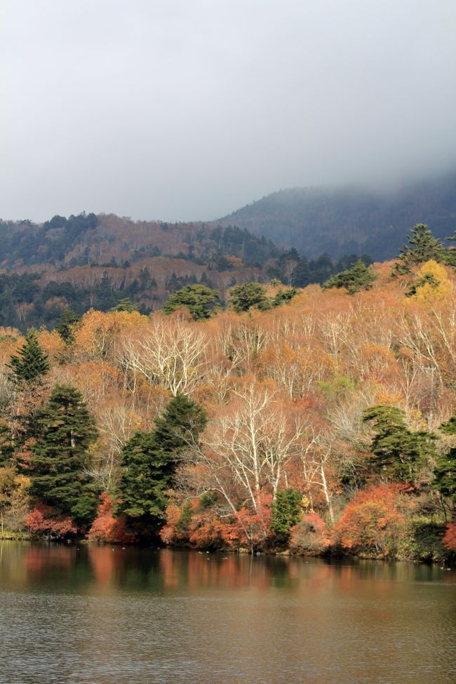 関東地方北部に位置し、境界部に海岸線を有しない内陸県である栃木県。北西部から北部、東部にかけて足尾山地、下野山地、奥羽山脈、八溝山地などの山岳地帯が連なり、これらの山岳地帯から流れ出る渡良瀬川、鬼怒川、那珂川等が形成する沖積平野や洪積台地である関東平野、那須野が原などが広がる。観光名所も多く、鬼怒川温泉や日光湯元温泉、那須温泉郷、塩原温泉郷などの温泉、東照宮・輪王寺などの世界遺産、中禅寺湖や戦場ヶ原、那須岳や那須高原など豊かな自然は日本初の国立公園である日光国立公園の指定地域内にあり、自然保護などの施策も執られています。見所満載のやすらぎの栃木路をぐるりと巡ってみました。<br /><br />□■□■□■□■□■□■□■□■□■□■□■□■□■□■□■<br /><br />日光東照宮周辺/今市/中禅寺湖/戦場ヶ原/日光湯元温泉をぐるりと巡る旅。栃木県西北部の日光市、ユネスコ世界文化遺産に登録された日光東照宮、日光二荒山神社、日光山輪王寺が代表的で多くの国宝を保有しています。街道全長37kmの両側に約13,300本の杉の木がそびえたつ日光杉並木がある今市、いろは坂を抜けると春の新緑や秋の紅葉が見所で遊覧船や湖畔にはフランスやベルギーなどの大使館別荘がある中禅寺湖、自然散策路では湿地に生息する様々な生き物を観察できる戦場ヶ原、奥日光の湯ノ湖畔、金精峠の麓にある温泉街の日光湯元温泉等、多くの観光資源があります。日光東照宮周辺/今市/中禅寺湖/戦場ヶ原/日光湯元温泉エリアをぐるりと巡ってみました。<br /><br />□■□■□■□■□■□■□■□■□■□■□■□■□■□■□■<br /><br />日光ぐるり旅、今回は紅葉の湯ノ湖へ行って来ました。奥日光にある山間部に囲まれた神秘的な湖で湖畔には日光湯元温泉があります。湖岸には散策路があり1時間ほどで一周でき、また湯ノ湖から湯滝、そして戦場ヶ原へと続くハイキングコースにつながっているそうです。9月下旬～10月中旬には紅葉が楽しめ、5月～9月はマス釣りの解禁期間で釣りの名所としても知られています。今回は日光湯元温泉にお泊りはしませんでしたが、近隣に無料駐車場もあるため、少しだけ湖畔を散策するつもりで立ち寄りました。天候がよいと湖畔に紅葉が映る綺麗な景観が見られそうです。<br /><br />□■□■□■□■□■□■□■□■□■□■□■□■□■□■□■<br /><br />＜湯ノ湖＞<br />http://www.nikko-jp.org/perfect/yumoto/yunoko.html<br /><br />□■□■□■□■□■□■□■□■□■□■□■□■□■□■□■<br /><br />＜やすらぎの栃木路ぐるり旅＞<br />【1】那須動物王国①<br />http://4travel.jp/traveler/dekadora/album/10709807/<br />【2】那須動物王国②<br />http://4travel.jp/traveler/dekadora/album/10709820/<br />【3】那須動物王国③<br />http://4travel.jp/traveler/dekadora/album/10710386/<br />【5】湯滝(紅葉)<br />http://4travel.jp/traveler/dekadora/album/10753435/<br />【6】湯ノ湖(紅葉)<br />http://4travel.jp/traveler/dekadora/album/10721572/<br />【7】戦場ヶ原(紅葉)<br />http://4travel.jp/traveler/dekadora/album/10754997/<br />【8】中禅寺湖(紅葉)<br />http://4travel.jp/traveler/dekadora/album/10755638/<br />【9】日光ステーションホテルクラシック＆日光市街地散策<br />http://4travel.jp/traveler/dekadora/album/10757192/