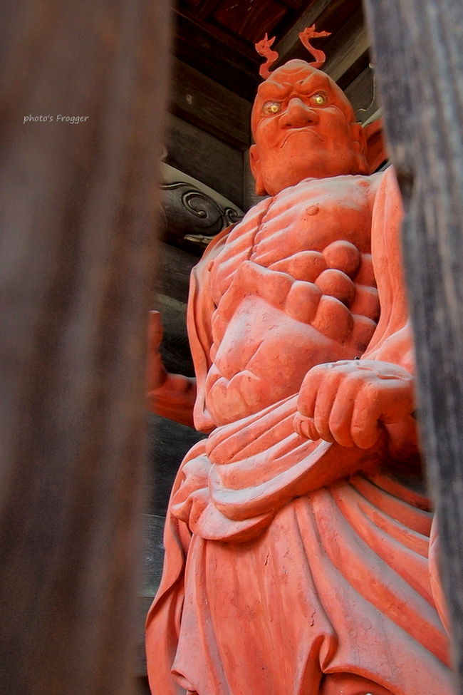 祇王寺・滝口寺を拝観して、奥嵯峨巡りもとりあえず無事終了。<br />やはり朝の光がある日を選んでよかった、よかった。<br /><br />次に向かったのは清凉寺です。<br />清凉寺は浄土宗のお寺で、山号を「五台山」と号します。<br /><br />清凉寺は棲霞(せいか)寺と釈迦堂が合わさり現在の清凉寺の形になったものです。<br />この地には光源氏のモデルとしても有名な、源融(みなもとのとおる)の別荘・棲霞観がありました。<br /><br />源融が亡くなったあとに源融が造立を願っていた阿弥陀三尊像を子どもたちが造り、寛平七年(895)に阿弥陀堂を建立して安置します。<br />この阿弥陀堂を棲霞寺と呼びました。<br /><br /><br />この棲霞寺が造られてから数十年経ったのちに、宋の五台山を巡礼していた奝然(ちょうねん）という東大寺の僧が現地で模刻させた三国伝来の釈迦如来像を持ち帰ります。<br /><br />五台山は宋の仏教の三大霊場の一つとされていた場所です。<br />奝然は嵯峨の愛宕山を五台山に見立て、愛宕山の麓となるこの地へ清凉寺を建立しようとしました。<br /><br />これはこの釈迦像を本尊とすることで、比叡山延暦寺と対抗する大寺院を育てようという考えでした。<br />奝然上人の存命中にこの願いは果たせなかったのですが、弟子である盛算(じょうさん)が棲霞寺の境内に意思を継いで建立させたのが五台山・清凉寺となります。<br /><br />母体ともなっていた棲霞寺は現在では衰退し、阿弥陀堂と阿弥陀三尊像に往時の面影を忍ばせます。