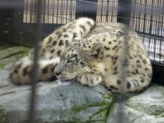 2012年北海道（旭山動物園～札幌編）