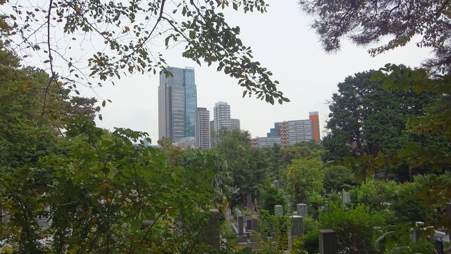 平日、初めて一人で駅からハイキングに参加してみました。<br />地図が読めない私は歩き慣れた恵比寿〜六本木に挑戦。<br />それでもいきなり駅からスタートする時、どっち方向に進むのか迷っちゃいました。<br />今回の地図には、写真を撮る「ビューポイント」が記載されているのが特徴的。でも写真にウトい私は、どの構図がビューポイントなのかわからないところ多々あり。<br />それでも全ビューポイントを写真に収めてみました。<br />左の写真は、ビューポイントの1つ、青山墓地から観たビルディング。