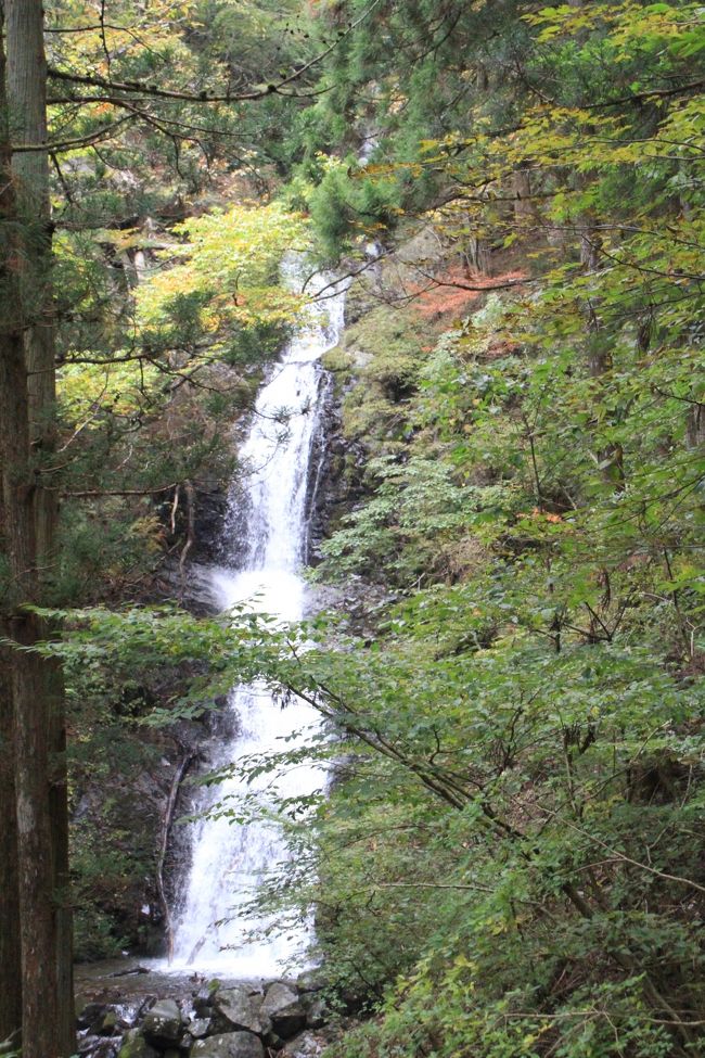 「寂光の滝」は、昔、このあたりに寂光寺があったことからこの名前が付きました。この寂光寺は弘法大師空海が開基したと伝えられています。江戸時代まで、不動堂（寂光寺）寂光権現堂（若子神社）鳥居　求聞持堂　三十番神堂　常念仏堂等建っており、明治時代に火災にあい再建されず名前も若子神社（じゃっこじんじゃ）に変更されました。滝は駐車場から５・６分です。