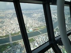 スカイツリーから見える東京は水の都