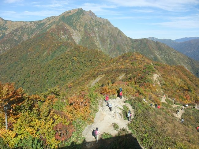 天気が良いので紅葉を見に行こうかと急に思い立って出かけました。宿は以前通ったことのある水上でクチコミから水上館を選択、直前でしたが予約できました。１日目は水上インターを下りて宝川温泉の露天風呂に。水上館でもたっぷり温泉につかりました。２日目は８時過ぎには谷川岳ロープウエイとリフトで天神峠まで。散策を楽しんで昼前に下りてきたらロープウエイ乗り場は長蛇の列でした。一度行きたいと望んでいた富弘美術館に寄って帰宅。水上からは少し遠かったですが出たついでに行ってきました。