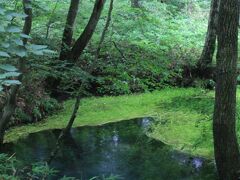 八幡平/安比高原/二戸ぐるり旅【2】～幾つもの言い伝えを残す座頭清水～日本名水100選【6】金沢清水