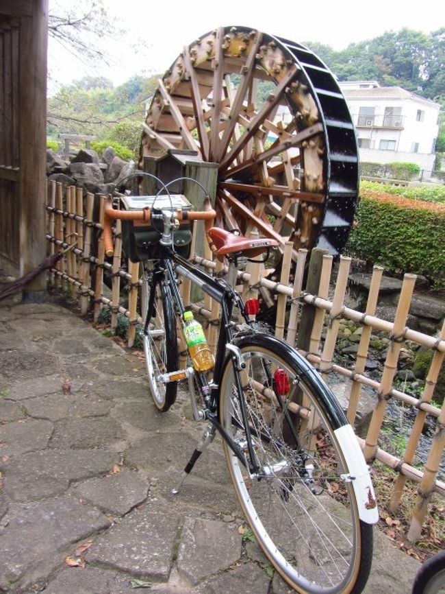 リベンジ第2弾　自転車に乗って～多摩サイ～調布飛行場は意外な癒しポイント