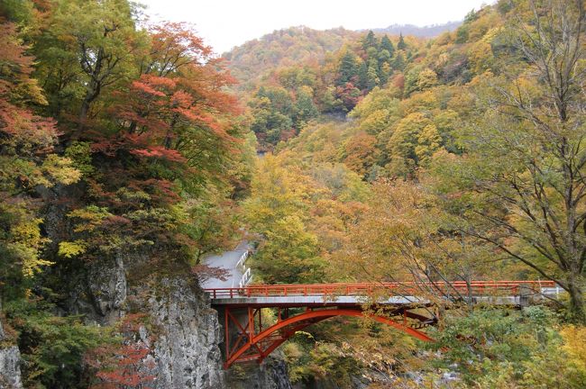今年はなかなか寒くならなかったので、紅葉はどうかなって思っていましたが、素晴らしい紅葉を眺めることがきました。<br />長野県と新潟県にまたがる秋山郷と奥信州の松川渓谷です。