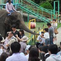 時期はずれですが、房総半島・・・