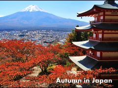さわやか紅葉ドライブ♪　富士山周辺で日本の秋を満喫しよう