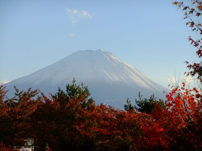 日光と富士の紅葉めぐり　④／⑤