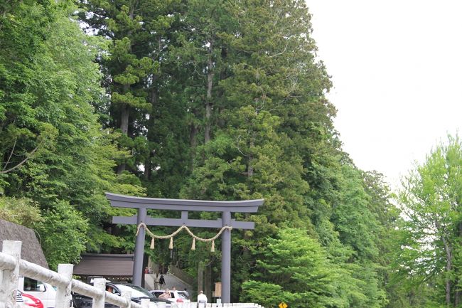 新緑の戸隠神社へ散策に行きました。<br />奥社の参道並木は綺麗でしたよ。