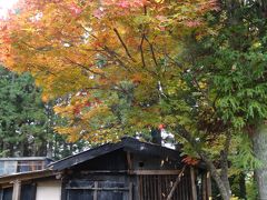 ２０１２・晩秋・九頭竜湖の紅葉