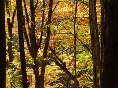 西沢渓谷 紅葉を見に