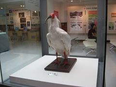 佐渡1泊2日家族旅行