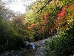 福島県を応援しようバスハイク・・・①安達太良山五葉松平とあだたら渓谷自然遊歩道を歩く
