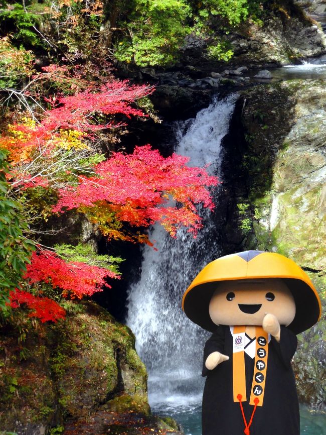 高野山の紅葉 奥之院 高野龍神スカイライン 高野大滝 護摩壇山 龍神岳 金剛峯寺 壇上伽藍 蓮池 霊宝館 高野山周辺 和歌山県 の旅行記 ブログ By Aoitomoさん フォートラベル