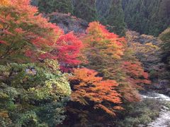 岡山県・奥津渓の紅葉狩り♪おまけはレインボー！withワンコ