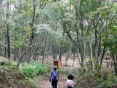 秩父・風布みかん山のみかん狩りハイキング