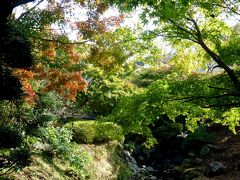 家族旅行2012秋・初めて関東方面へ03御殿場のホテル・時之栖その３庭園散策